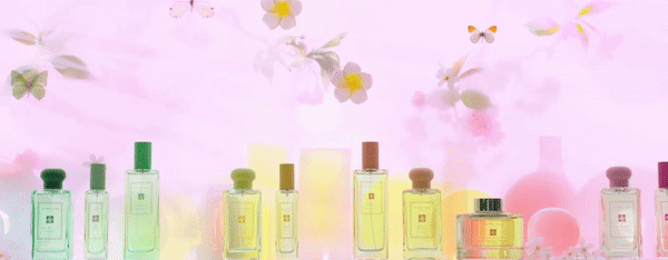 1663150454584757.gif 166064775753682812.gif