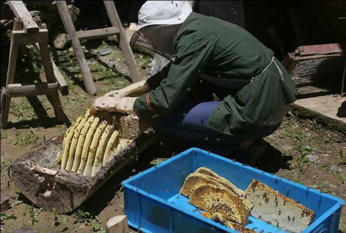 1663236052870469.jpg 166314224486486774.jpg