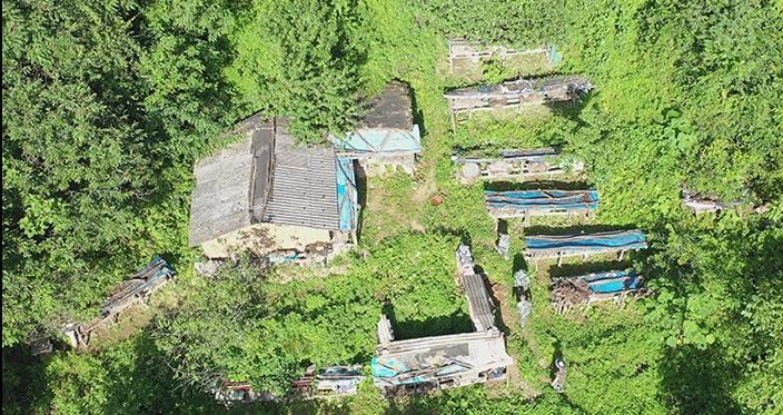 1663236246225870.jpg 16631422448705697.jpg